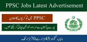 PPSC Jobs 2024 Apply Online| Advertisement No.8 Last Date